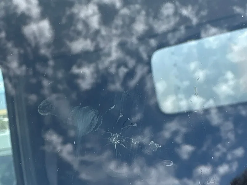 The same box truck windshield after rock chip repair by Longevity Auto Glass, break stabilized and no longer white