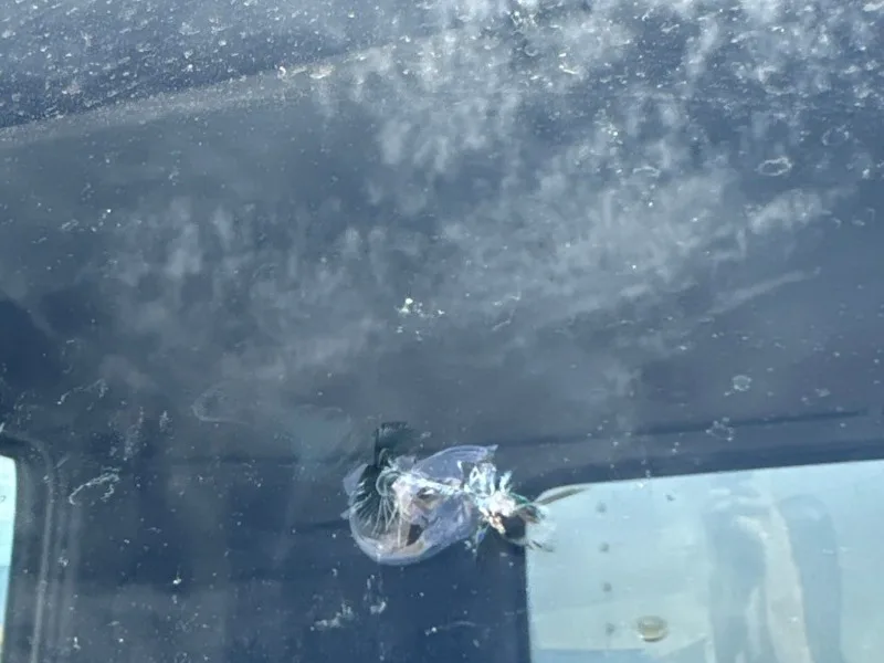 Star break rock chip on a box truck windshield before repair by Longevity Auto Glass in Albuquerque